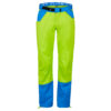 lime green/blue